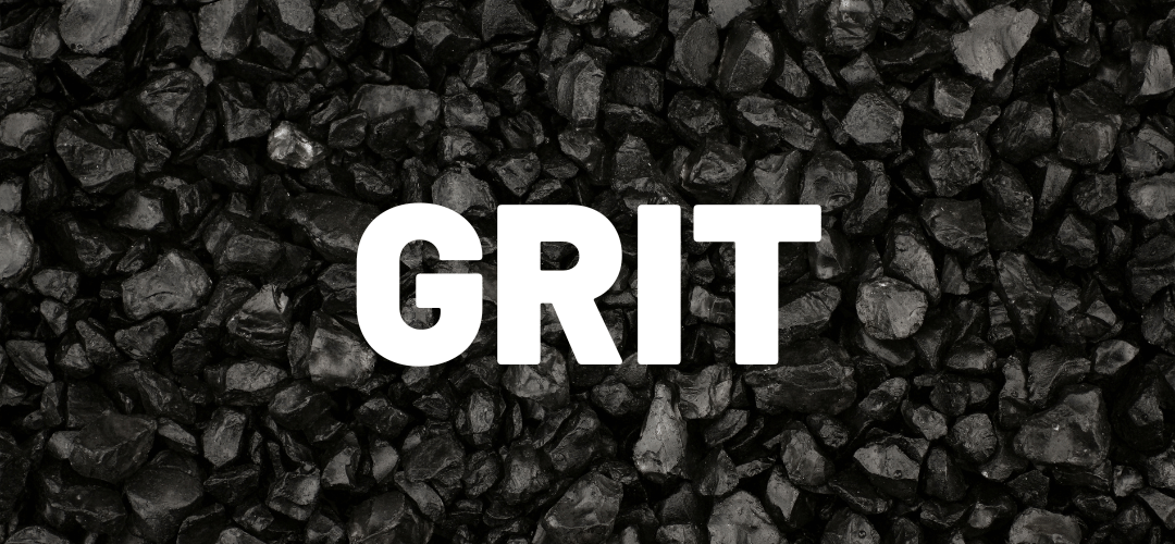 The Real Test of Entrepreneurship: Why Grit Matters More Than Genius