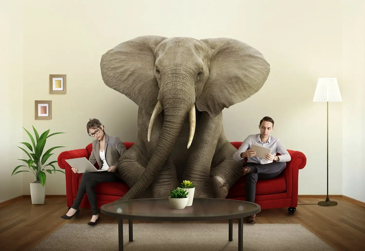 Facing the Fear: Why Addressing the Elephant in the Room Can Strengthen Your Business